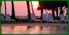 Royal Palms Beach Hotel 